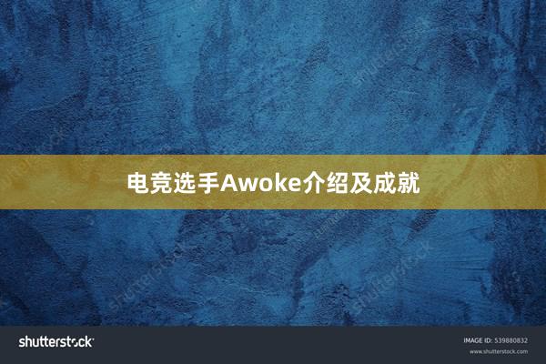 电竞选手Awoke介绍及成就