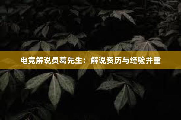 电竞解说员葛先生：解说资历与经验并重