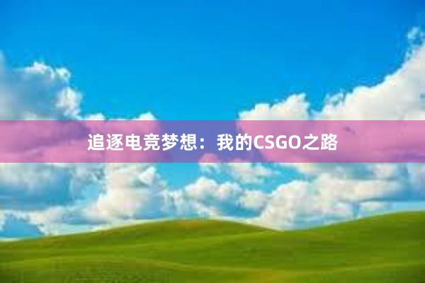 追逐电竞梦想：我的CSGO之路